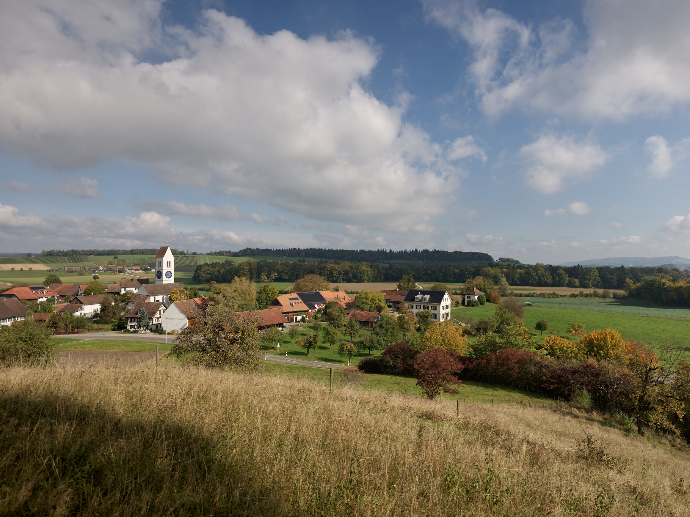 201014 Dinhard Surrliweg4 5030 web