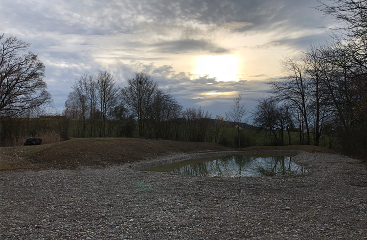 525 3 ruedizehnder 2019