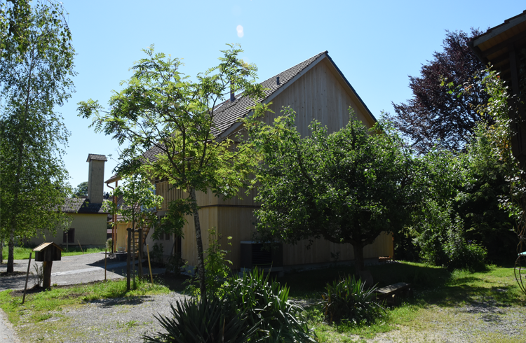 538 6 ruedizehnder 2019